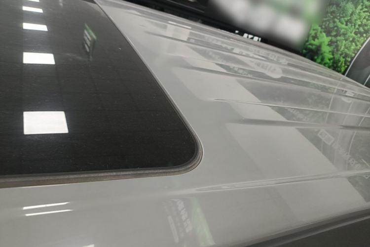 Used Tank 300 2024 2.0T Conqueror Roof