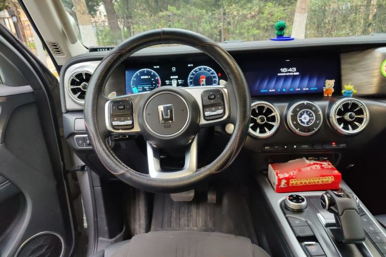 Used Tank 300 2024 2.0T Conqueror Steering Wheel