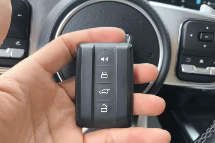 Used Tank 300 2024 2.0T Conqueror Vehicle Key