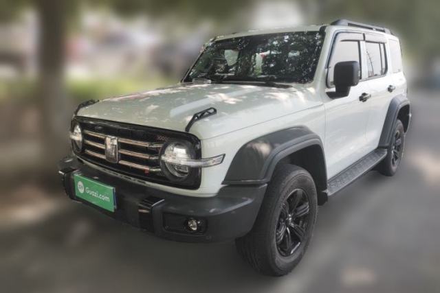 Used Tank 300 2024 2.0T Conqueror