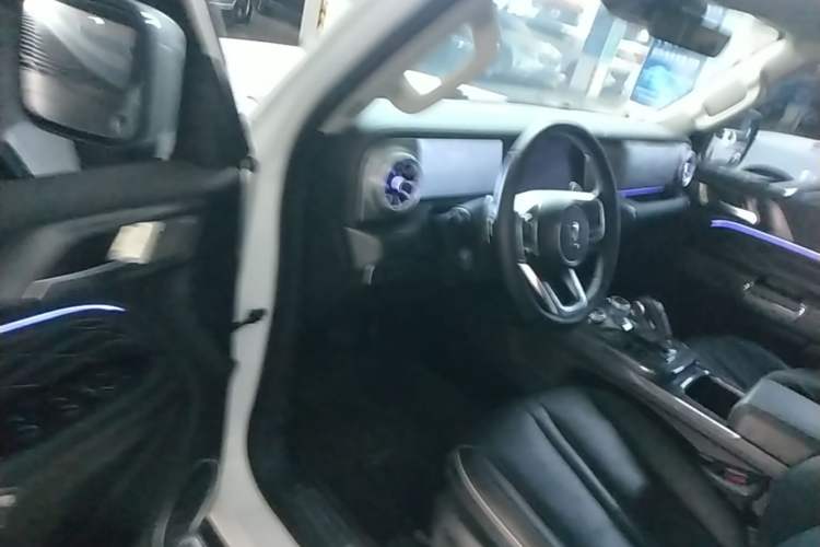 Used Tank 300 2024 2.0T Crosser Driver Seat