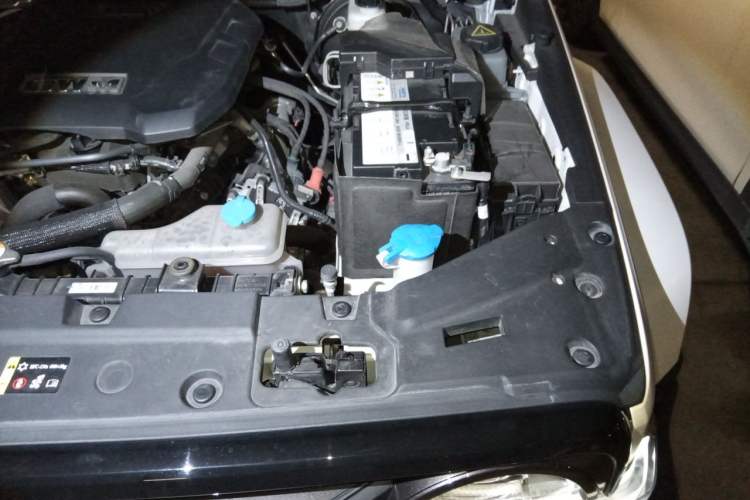 Used Tank 300 2024 2.0T Crosser Engine Bay Left