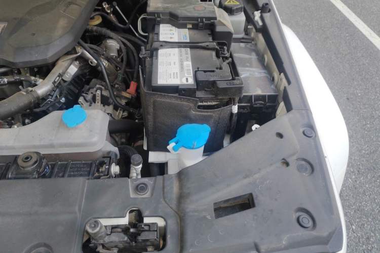 Used Tank 300 2024 2.0T Crosser Engine Bay Left