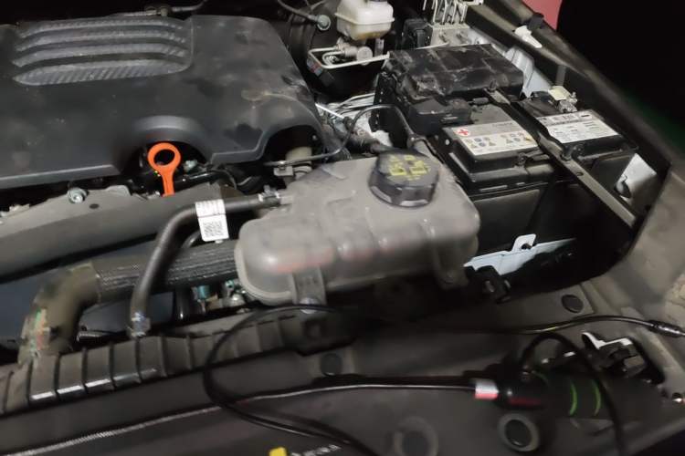 Used Tank 300 2024 2.0T Conqueror Engine Bay Left