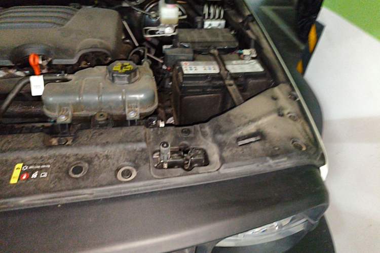 Used Tank 300 2024 2.0T Conqueror Engine Bay Left
