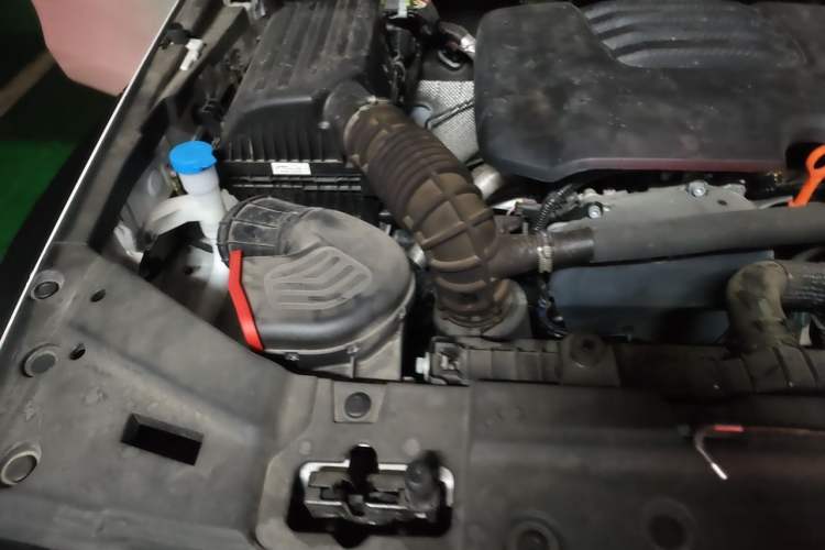 Used Tank 300 2024 2.0T Conqueror Engine Bay Right