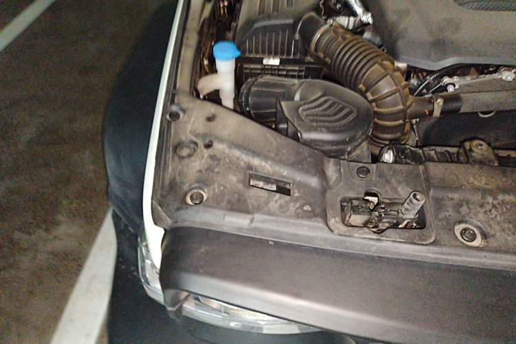 Used Tank 300 2024 2.0T Conqueror Engine Bay Right