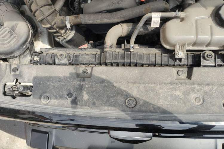 Used Tank 300 2024 2.0T Conqueror Engine Bay