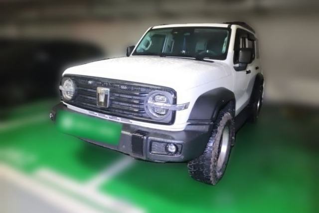 Used Tank 300 2024 2.0T Conqueror