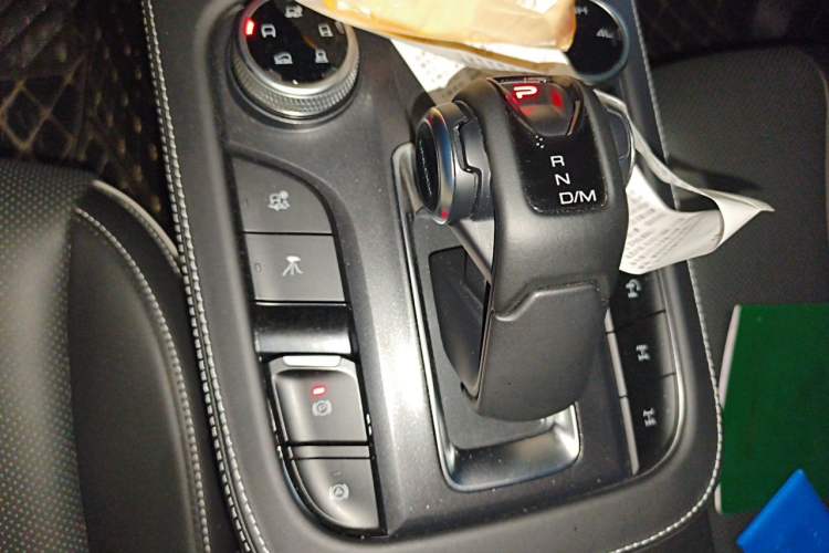 Used Tank 300 2024 2.0T Conqueror Gear Lever