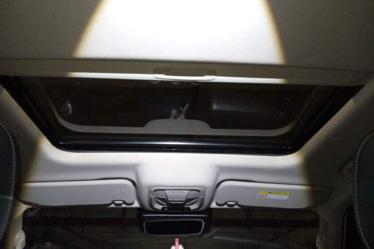 Used Tank 300 2024 2.0T Crosser Headliner