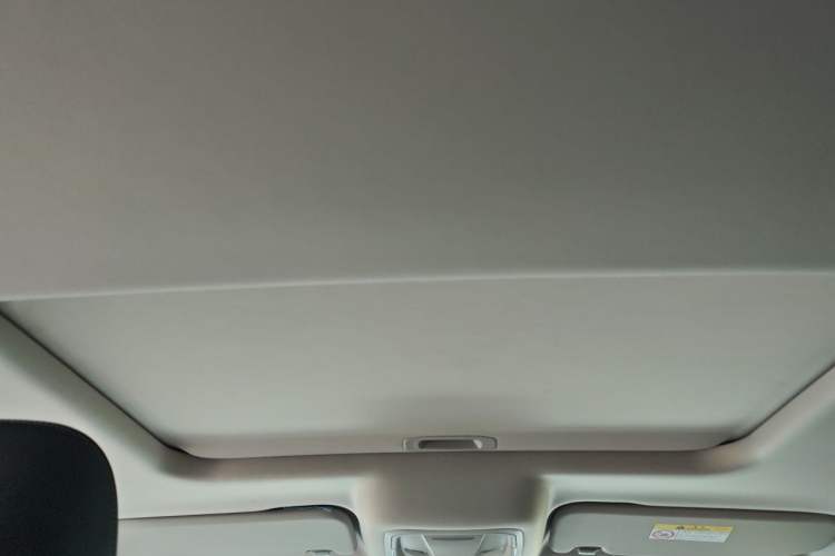 Used Tank 300 2024 2.0T Challenger Headliner