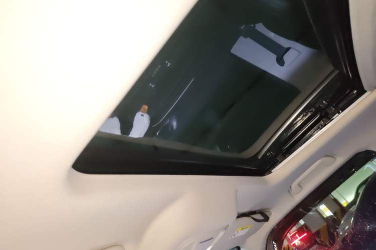 Used Tank 300 2024 2.0T Conqueror Headliner