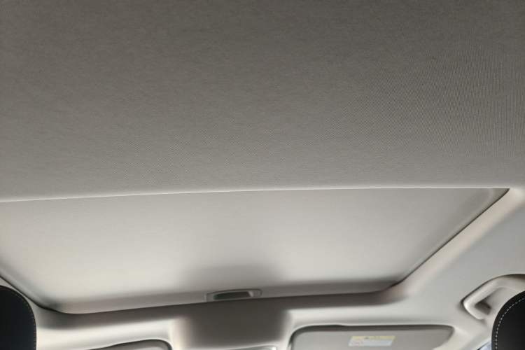 Used Tank 300 2024 2.0T Conqueror Headliner