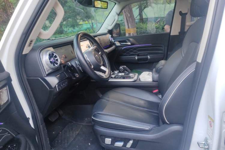 Used Tank 300 2024 2.0T Crosser Left Front Seat