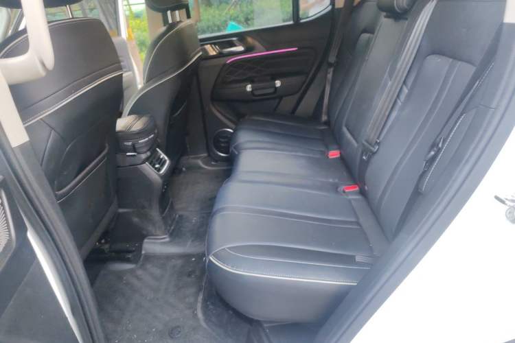Used Tank 300 2024 2.0T Crosser Left Rear Seat