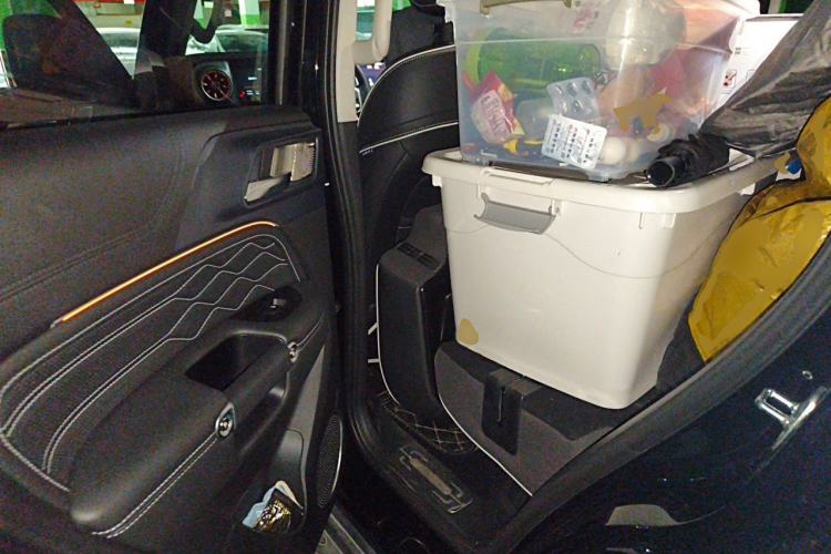 Used Tank 300 2024 2.0T Conqueror Left Rear Seat