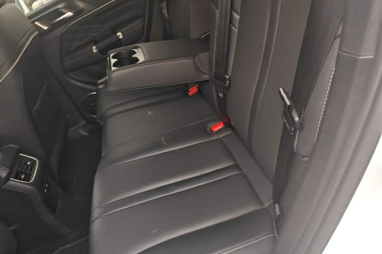 Used Tank 300 2024 2.0T Conqueror Left Rear Seat