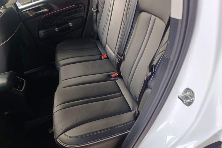 Used Tank 300 2024 2.0T Conqueror Left Rear Seat