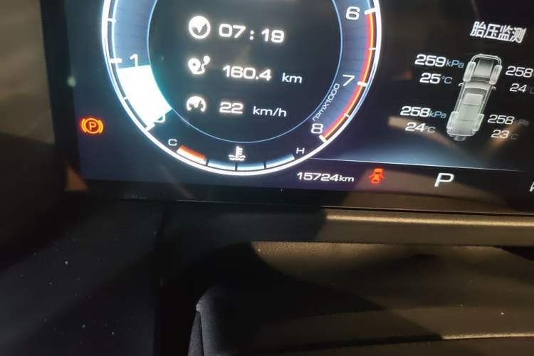 Used Tank 300 2024 2.0T Conqueror Odometer Close Up