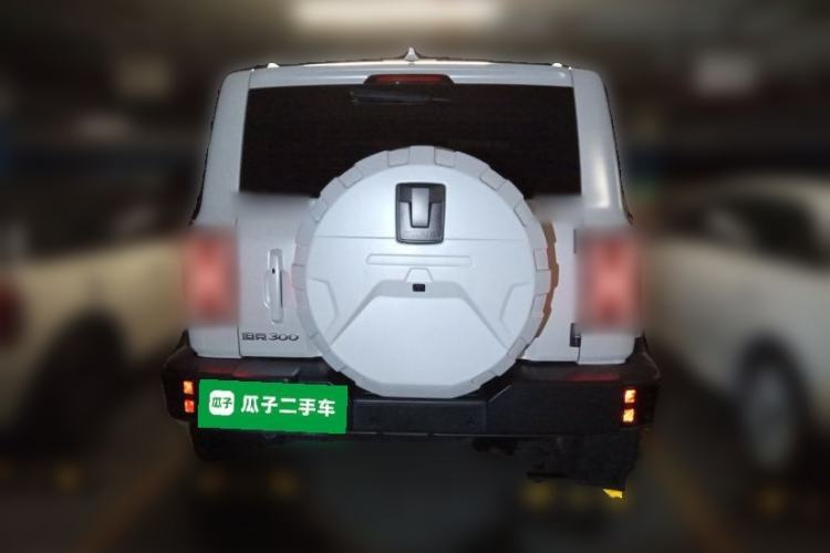 Used Tank 300 2024 2.0T Crosser Rear