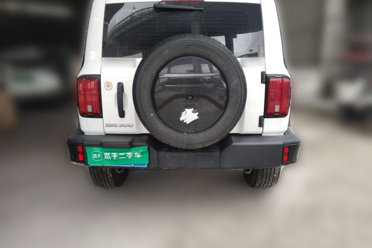 Used Tank 300 2024 2.0T Conqueror Rear