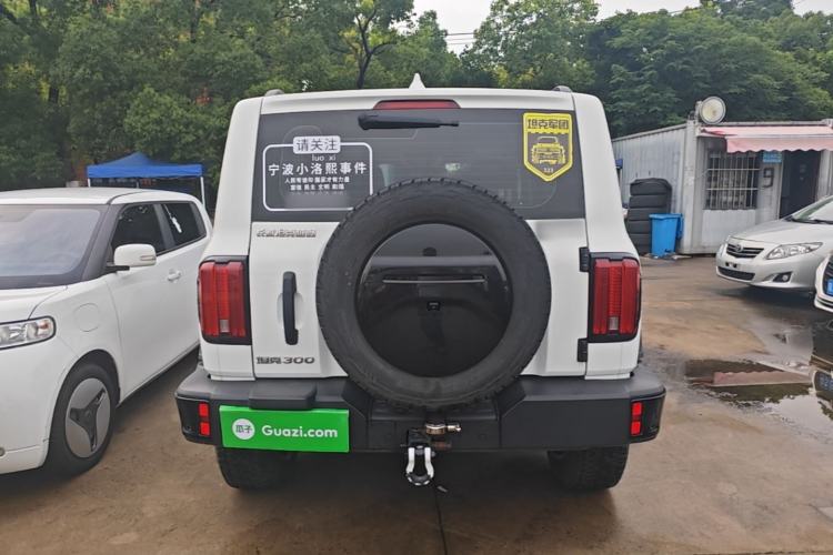 Used Tank 300 2024 2.0T Conqueror Rear