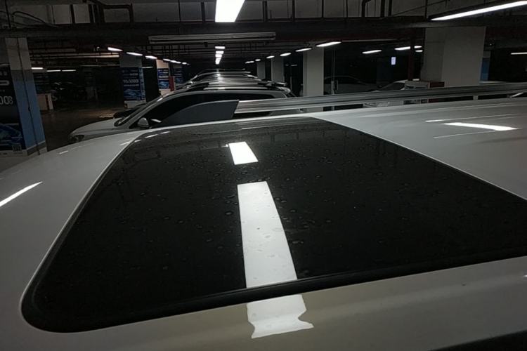 Used Tank 300 2024 2.0T Crosser Roof