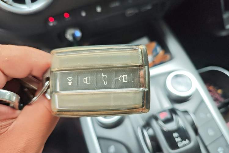 Used Tank 300 2024 2.0T Challenger Vehicle Key