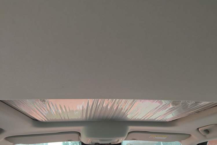 Used Tank 300 2024 2.0T Conqueror Headliner