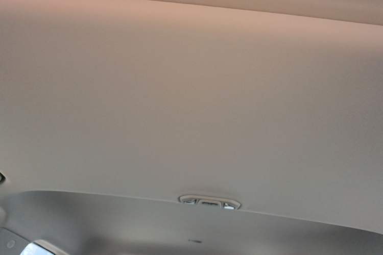 Used Tank 300 2024 2.0T Conqueror Headliner