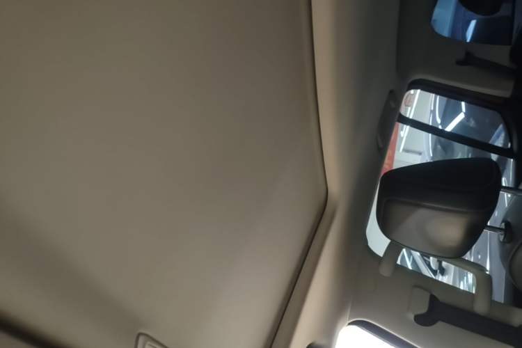 Used Tank 300 2024 2.0T Challenger Headliner