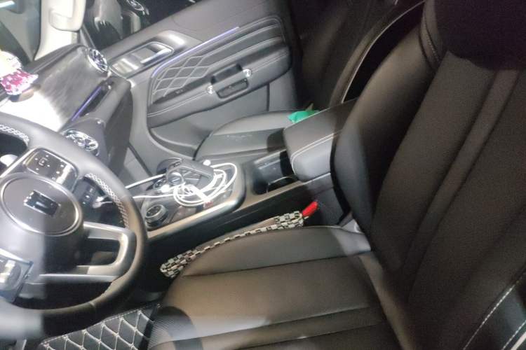 Used Tank 300 2024 2.0T Conqueror Left Front Seat