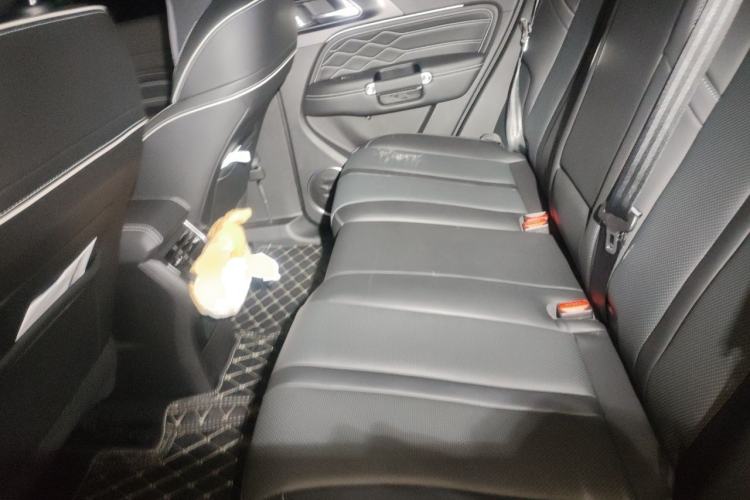 Used Tank 300 2024 2.0T Conqueror Left Rear Seat