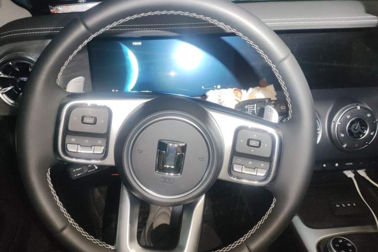 Used Tank 300 2024 2.0T Conqueror Steering Wheel