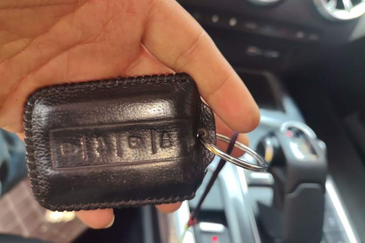 Used Tank 300 2024 2.0T Conqueror Vehicle Key