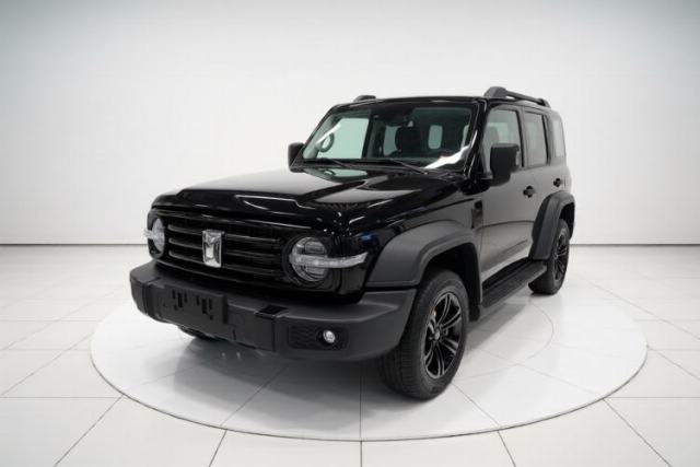 Used Tank 300 2025 2.0T Conqueror