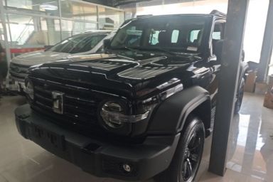 Used Tank 300 2025 2.0T Conqueror