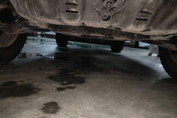 Used Tank 300 2025 2.0T Conqueror Chassis Front