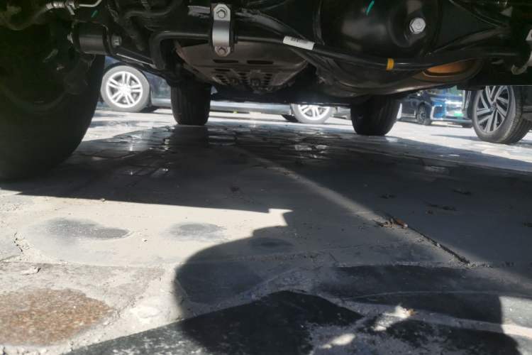 Used Tank 300 2025 2.0T Conqueror Chassis Rear