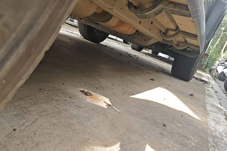 Used Tank 300 2025 2.0T Conqueror Chassis Rear Right