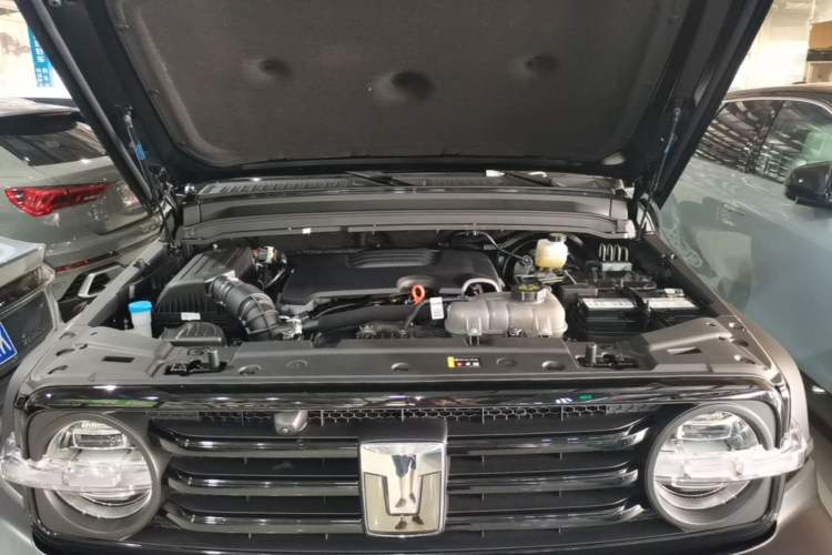 Used Tank 300 2025 2.0T Conqueror Engine Bay
