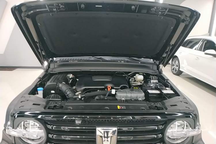 Used Tank 300 2025 2.0T Conqueror Engine Bay