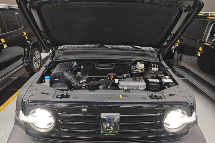 Used Tank 300 2025 2.0T Challenger Engine Bay