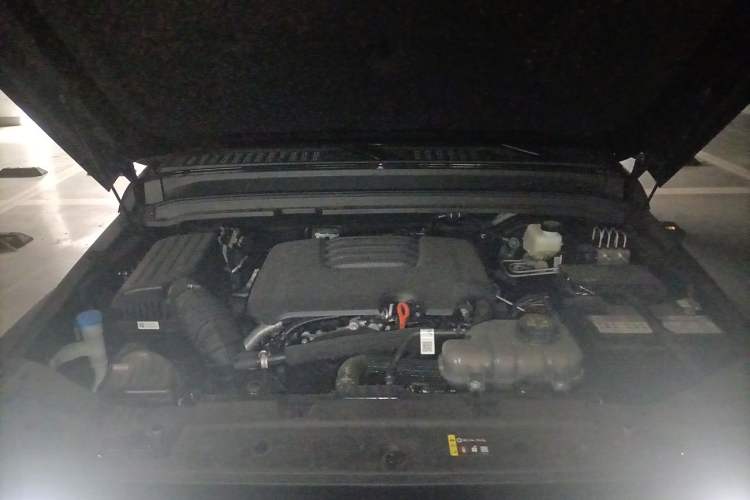 Used Tank 300 2025 2.0T Conqueror Engine Bay