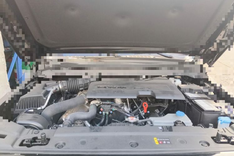 Used Tank 300 2025 2.4T Diesel Version Engine Bay