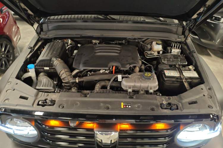 Used Tank 300 2025 2.0T Conqueror Engine Bay