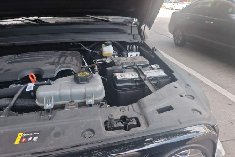 Used Tank 300 2025 2.0T Conqueror Engine Bay Left