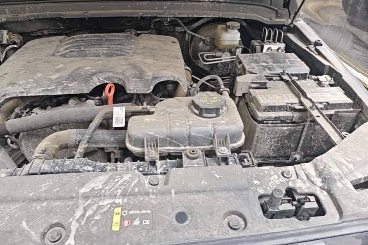 Used Tank 300 2025 2.0T Conqueror Engine Bay Left