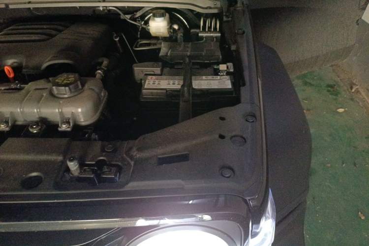 Used Tank 300 2025 2.0T Conqueror Engine Bay Left